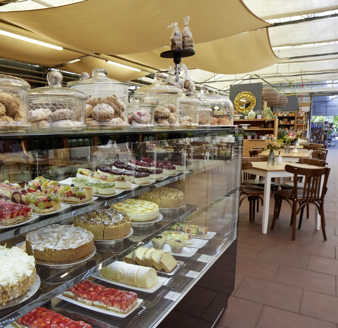 Sängerhof Gartencenter Ley Meckenheim: Café Kuchenauswahl