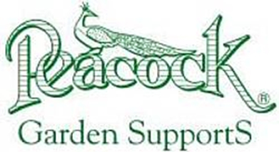Peacock_logo